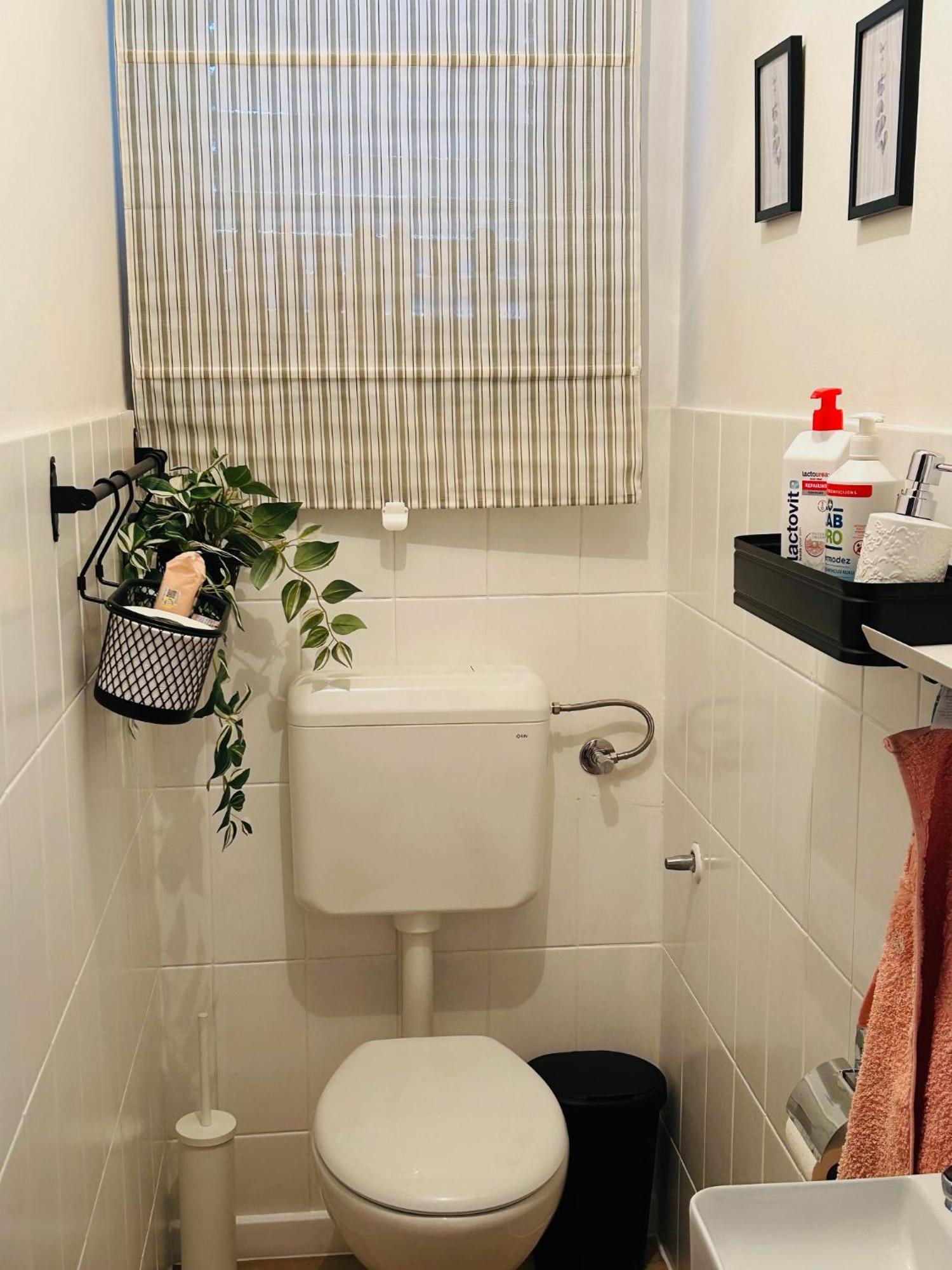Starlight House Apartment Bjelovar Luaran gambar